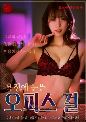 蜜桃电影网家庭生活剧旧城灯火海报
